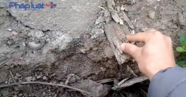 Chủ tịch Hà Nội Nguyễn Đức Chung chỉ đạo giải quyết vụ bê tông có gỗ