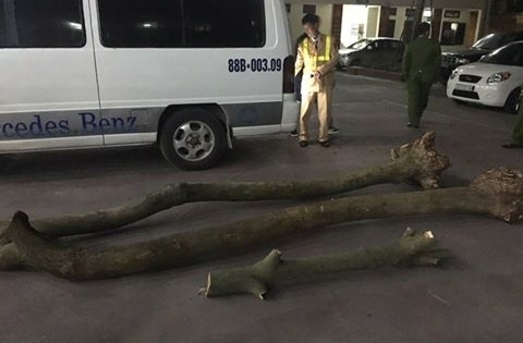 Hà Nội: Tóm gọn các đối tượng đào trộm gỗ sưa giấu trên xe khách