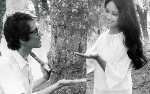 Các phim điện ảnh lấy bối cảnh chiến tranh biên giới 1979