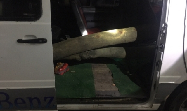 Tang vật của vụ &aacute;n.