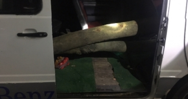 Hà Nội: Bắt nhóm đối tượng buôn bán, vận chuyển gỗ sưa trong đêm