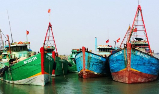 Thiếu lao động nghề biển, nhiều t&agrave;u c&aacute; vẫn phải neo t&agrave;u nằm bờ.