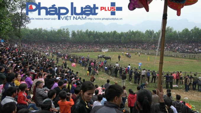 Lễ hội chọi tr&acirc;u kh&ocirc;ng ph&eacute;p tại Tuy&ecirc;n Quang.