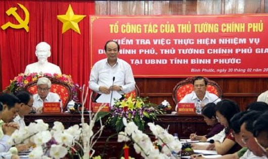 Bộ trưởng, Chủ nhiệm Văn ph&ograve;ng Ch&iacute;nh phủ Mai Tiến Dũng ph&aacute;t biểu tại buổi l&agrave;m việc.