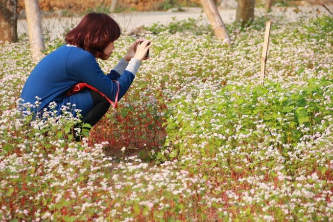 Nhiều du kh&aacute;ch tới đ&acirc;y thăm quan kh&ocirc;ng qu&ecirc;n ghi lại những khoảng khắc tuyệt vời.