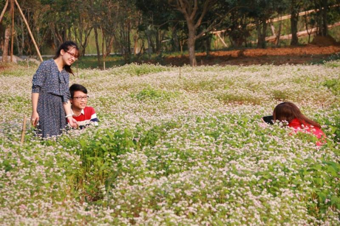 V&agrave;o hời gian hoa trổ b&ocirc;ng đ&atilde; c&oacute; h&agrave;ng ngh&igrave;n lượt kh&aacute;ch đến khu du lịch sinh th&aacute;i Thung Nham để tham quan.