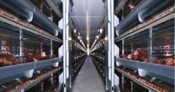 Nhà máy sản xuất trứng gà sạch công nghệ cao lớn nhất Việt Nam sắp khánh thành