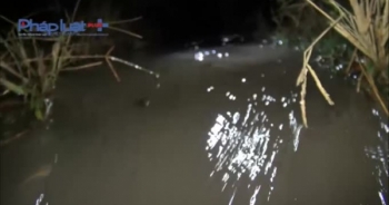 TP HCM: Hàng nghìn gốc mai bất ngờ bị nhấn chìm "biển nước"