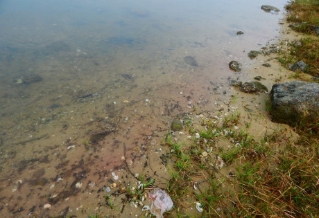 Thừa Thiên - Huế: Đã xác định nguyên nhân khiến nước ở ven biển Lăng Cô đổi màu