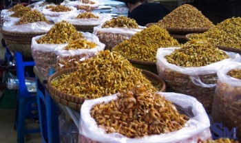 Cẩn trọng trước hàng loạt thực phẩm “3 không” dịp tết