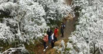 Du khách băng rừng săn tuyết Sa Pa