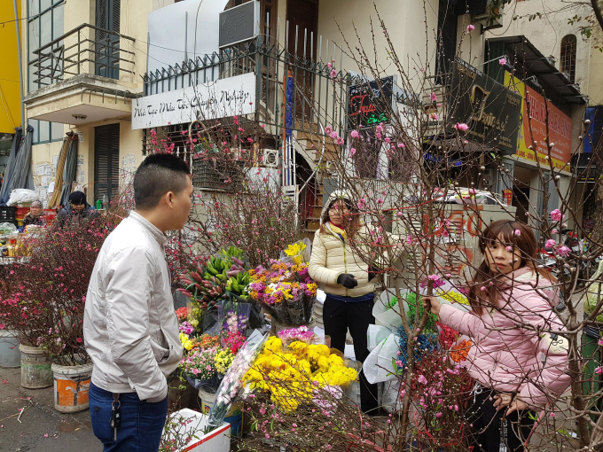D&ugrave; gần nửa th&aacute;ng nữa mới đến Tết nhưng nhiều người đ&atilde; đi lựa chọn những c&agrave;nh đ&agrave;o ưng &yacute; để về trưng b&agrave;y tại nh&agrave;.