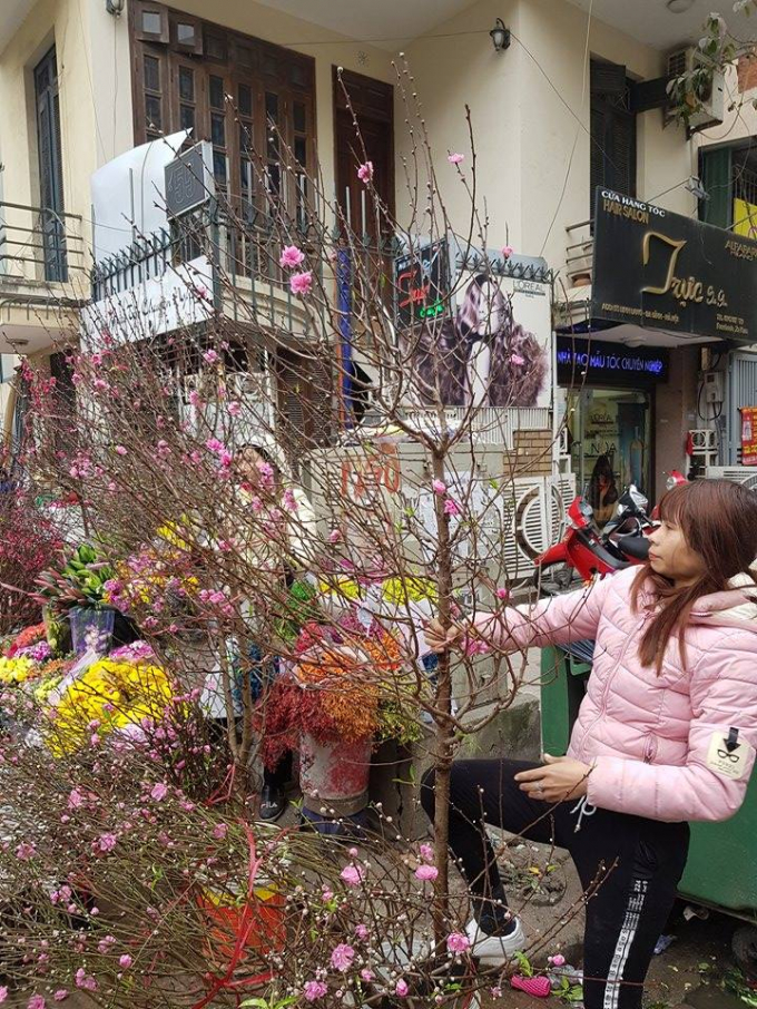 Một người b&aacute;n h&oacute;a đ&agrave;o cho biết: