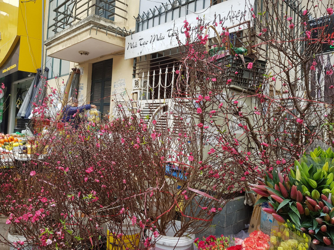 Đ&agrave;o b&aacute;n tr&ecirc;n c&aacute;c tuyến phố chủ yếu l&agrave; ở dạng c&agrave;nh, c&oacute; k&iacute;ch thước vừa phải.