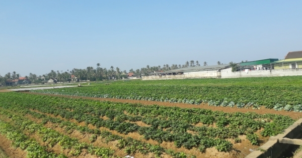 Nghệ An: Xã lập danh sách khống để nhận về 259 triệu