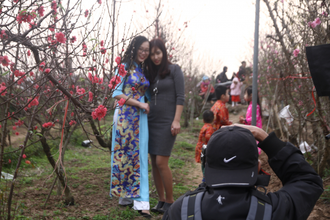 Đến vườn đ&agrave;o Nhật T&acirc;n dịp cuối năm