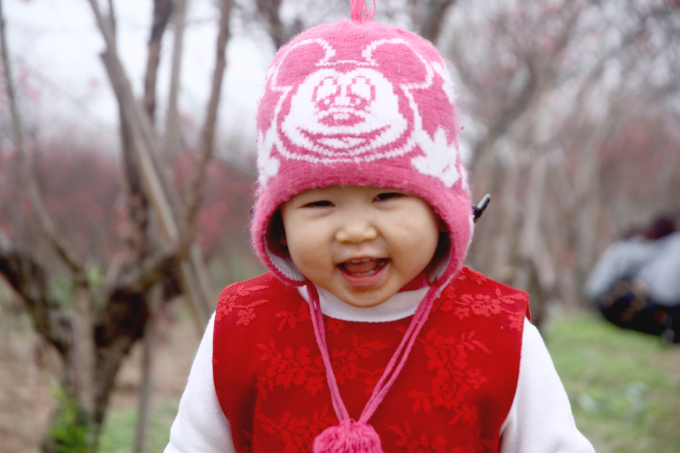 Đến vườn đ&agrave;o Nhật T&acirc;n dịp cuối năm