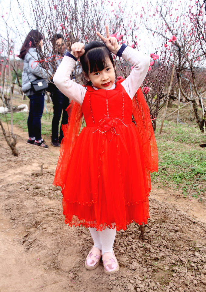 C&aacute;c c&ocirc; b&eacute;, cậu b&eacute; cũng rất h&aacute;o hức khi được chụp ảnh c&ugrave;ng với vườn đ&agrave;o đang nở rộ.