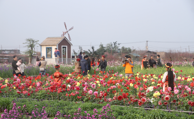 Đến vườn đ&agrave;o Nhật T&acirc;n dịp cuối năm