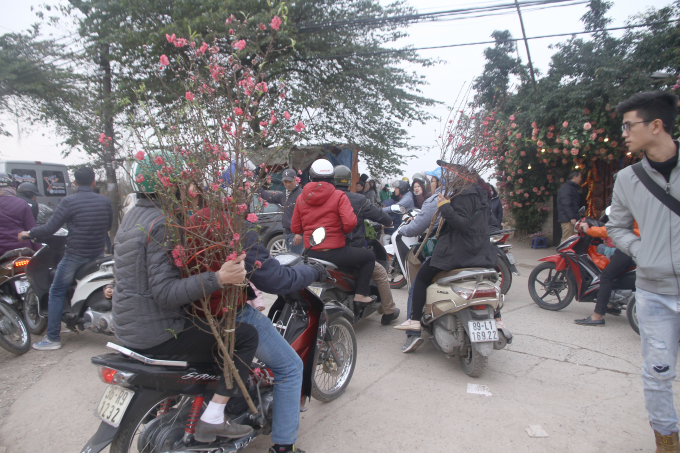 Lượng người đổ về c&aacute;c vườn đ&agrave;o kh&aacute; đ&ocirc;ng khiến cho đường c&oacute; l&uacute;c bị tắc nghẽn.