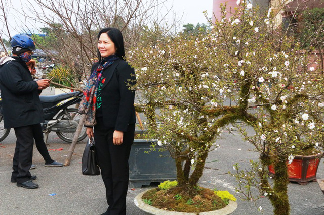 Nhiều người th&iacute;ch th&uacute; chụp ảnh với những chậu mai trắng.