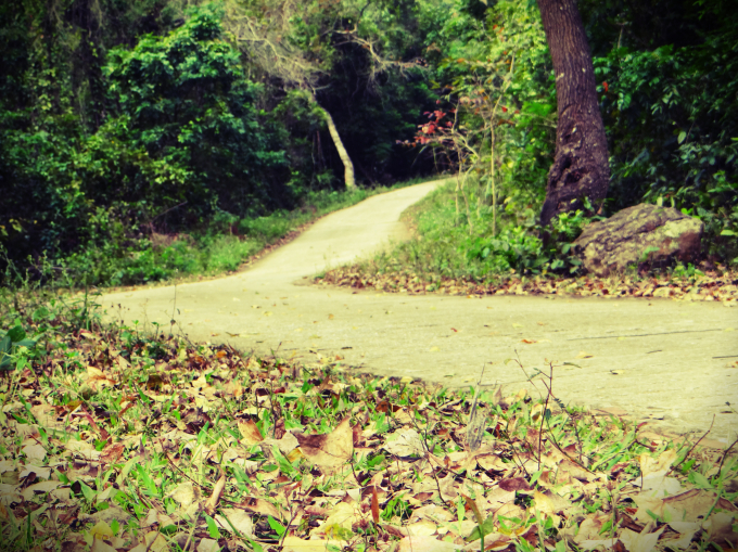 Lối l&ecirc;n ch&ugrave;a Thanh Mai v&agrave; rừng phong uốn kh&uacute;c quanh co&nbsp;