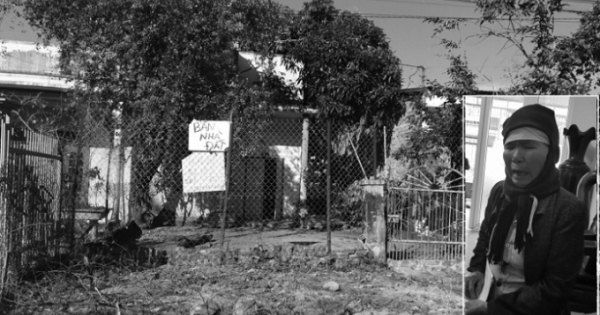 Đắk Lắk: Bà cụ 64 tuổi tố phó chủ tịch xã đánh người gây đa chấn thương