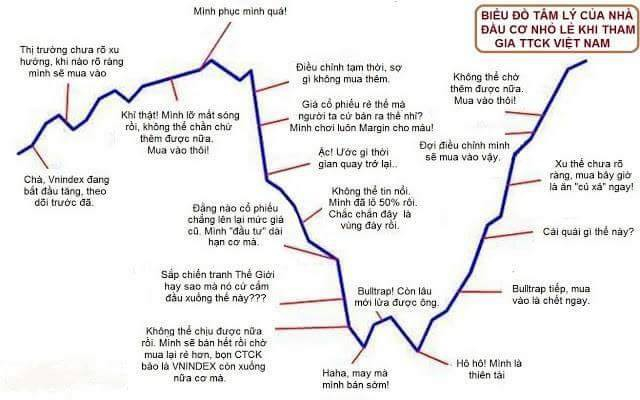 Biểu đồ th&uacute; vị về t&acirc;m l&yacute; nh&agrave; đầu tư được lan truyền tr&ecirc;n mạng x&atilde; hội.