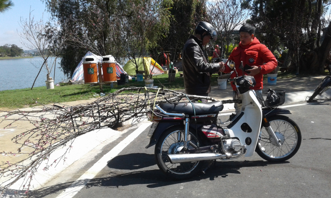 Người d&acirc;n chọn được c&agrave;nh đ&agrave;o ưng &yacute; về chơi Tết.