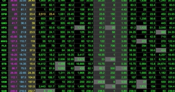 Cuộc hồi sinh sau "cơn chấn động" 300.000 tỷ đồng