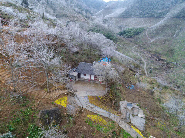 H&igrave;nh ảnh Sa Pa ch&igrave;m trong băng gi&aacute; ng&agrave;y cận Tết