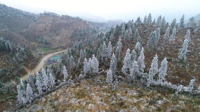 H&igrave;nh ảnh Sa Pa ch&igrave;m trong băng gi&aacute; ng&agrave;y cận Tết