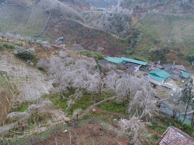 H&igrave;nh ảnh Sa Pa ch&igrave;m trong băng gi&aacute; ng&agrave;y cận Tết
