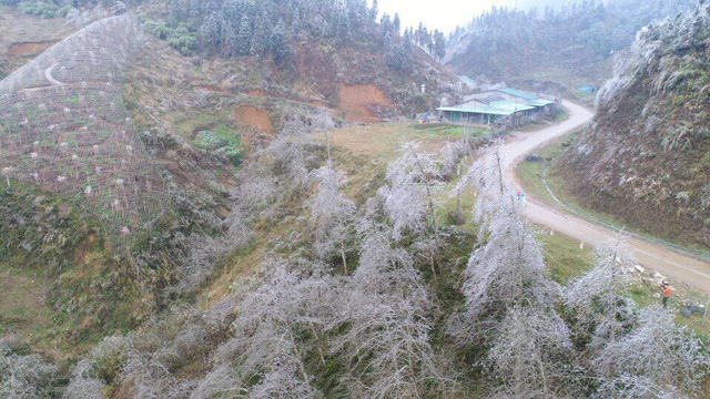 H&igrave;nh ảnh Sa Pa ch&igrave;m trong băng gi&aacute; ng&agrave;y cận Tết