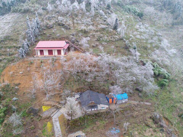 H&igrave;nh ảnh Sa Pa ch&igrave;m trong băng gi&aacute; ng&agrave;y cận Tết