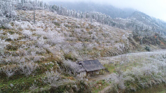 H&igrave;nh ảnh Sa Pa ch&igrave;m trong băng gi&aacute; ng&agrave;y cận Tết