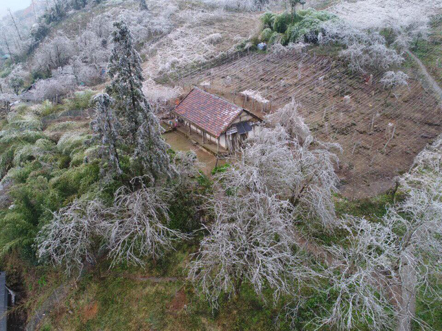 H&igrave;nh ảnh Sa Pa ch&igrave;m trong băng gi&aacute; ng&agrave;y cận Tết