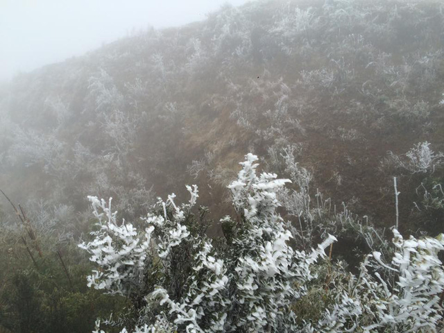 H&igrave;nh ảnh Sa Pa ch&igrave;m trong băng gi&aacute; ng&agrave;y cận Tết