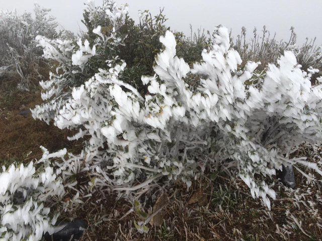 H&igrave;nh ảnh Sa Pa ch&igrave;m trong băng gi&aacute; ng&agrave;y cận Tết