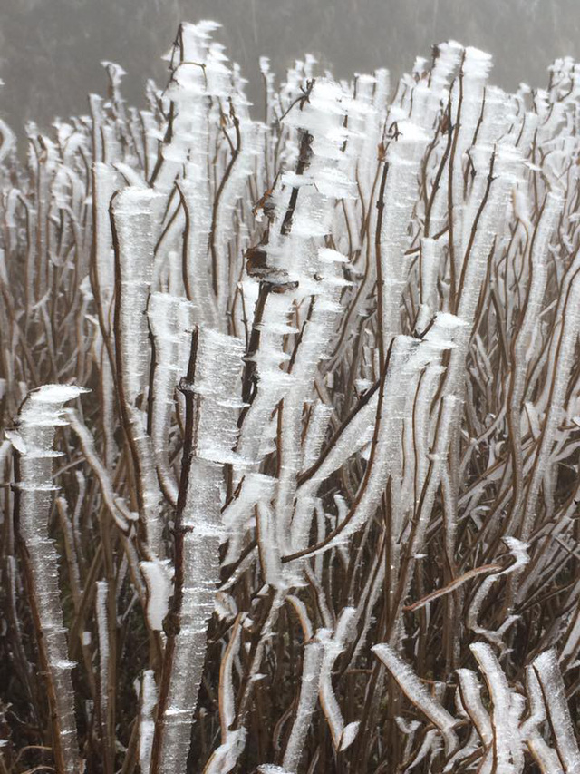 H&igrave;nh ảnh Sa Pa ch&igrave;m trong băng gi&aacute; ng&agrave;y cận Tết