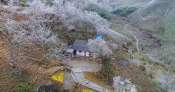 Hình ảnh Sa Pa chìm trong băng giá ngày cận Tết