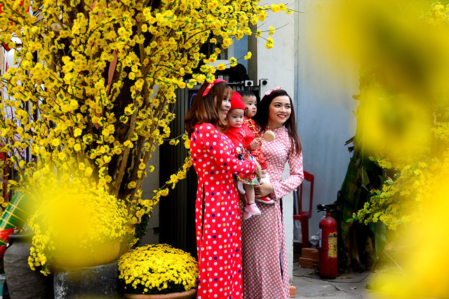 C&aacute;c thiếu nữ tạo d&aacute;ng b&ecirc;n hoa mai v&agrave;ng.