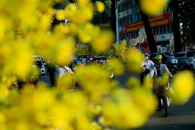 Phố x&aacute; ngập tr&agrave;n sắc xu&acirc;n.