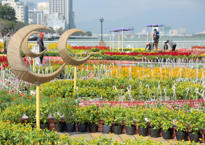 Đường hoa Đ&agrave; Nẵng nằm ngay khu vực ch&acirc;n cầu Rồng.