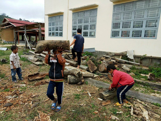 C&aacute;c bạn học sinh nam chuẩn bị củi để nấu b&aacute;nh chưng