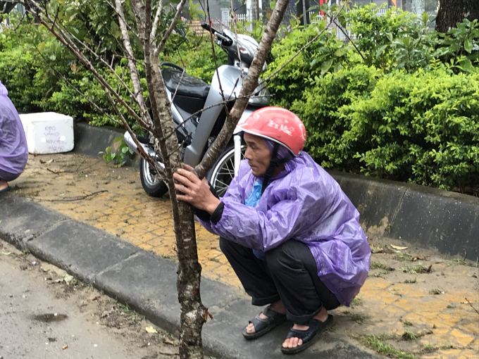 Người d&acirc;n co ro trong mưa chờ b&aacute;n đ&agrave;o tết.