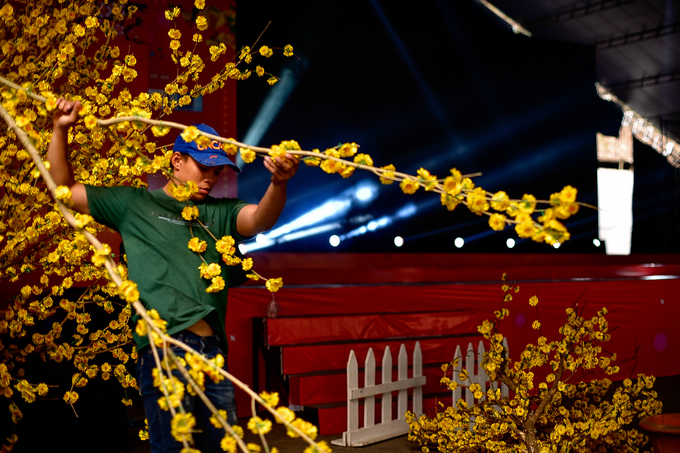 C&ocirc;ng nh&acirc;n vẫn d&ugrave;ng những c&agrave;nh hoa mai nhựa để trang tr&iacute; s&acirc;n khấu tại Nh&agrave; Văn h&oacute;a Thanh ni&ecirc;n trong dịp Tết.
