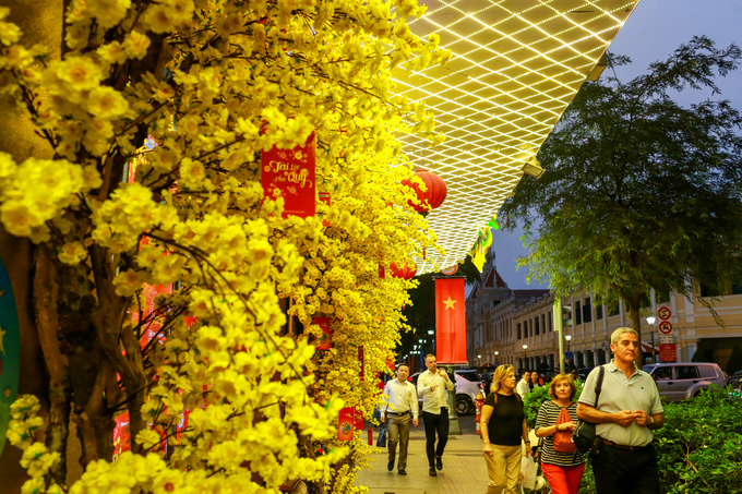 Du kh&aacute;ch rảo bước tr&ecirc;n vỉa h&egrave; đường L&ecirc; Th&aacute;nh T&ocirc;n - Đồng Khởi rợp hoa mai v&agrave;ng.