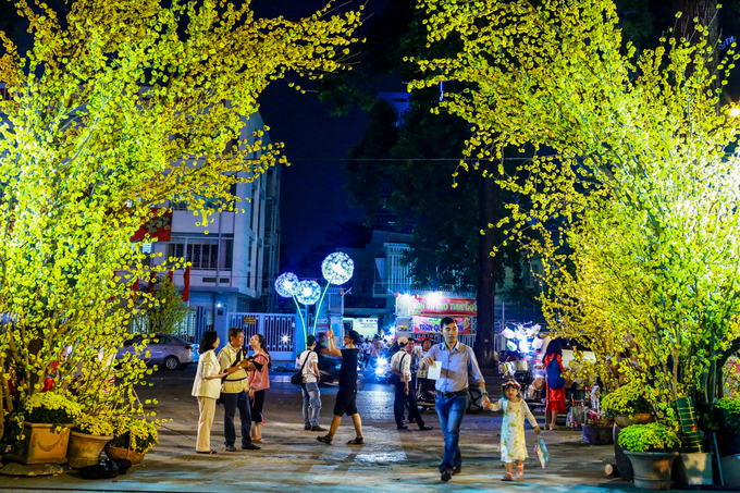 Về đ&ecirc;m, g&oacute;c đường Phạm Ngọc Thạch trở n&ecirc;n rực rỡ với những c&agrave;nh hoa mai nhựa.Năm nay, b&ecirc;n cạnh việc tổ chức đường hoa, đường s&aacute;ch, chợ hoa xu&acirc;n... để phục vụ người d&acirc;n v&agrave; du kh&aacute;ch tham quan, TP HCM c&ograve;n tổ chức bắn ph&aacute;o hoa tại 7 điểm trong 15 ph&uacute;t, từ 0h đến 0h15 ng&agrave;y 16/2 (đ&ecirc;m 30 th&aacute;ng Chạp). C&aacute;c địa phương cũng tổ chức chương tr&igrave;nh văn nghệ gần điểm bắn để phục vụ người d&acirc;n vui xu&acirc;n.