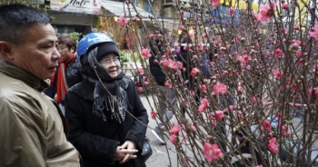 Sắc đào đỏ rực chợ hoa Tết đặc biệt ở phố cổ Hà Nội